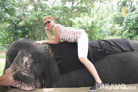 Շրի Լանկայում Մարիաննային ամենից շատ դուր են եկել փղերը:) Marianna Hovhannisyan